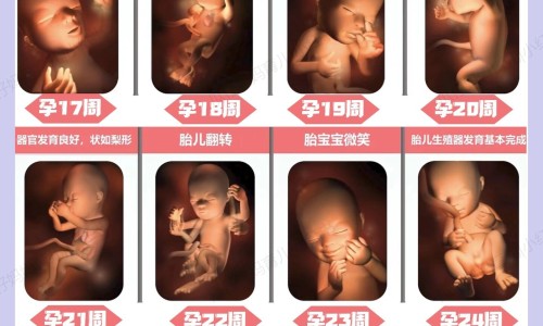 贤结石病人什 么症壮网 :分享贤结石平时有什么症状-贤结石有什么表现知识